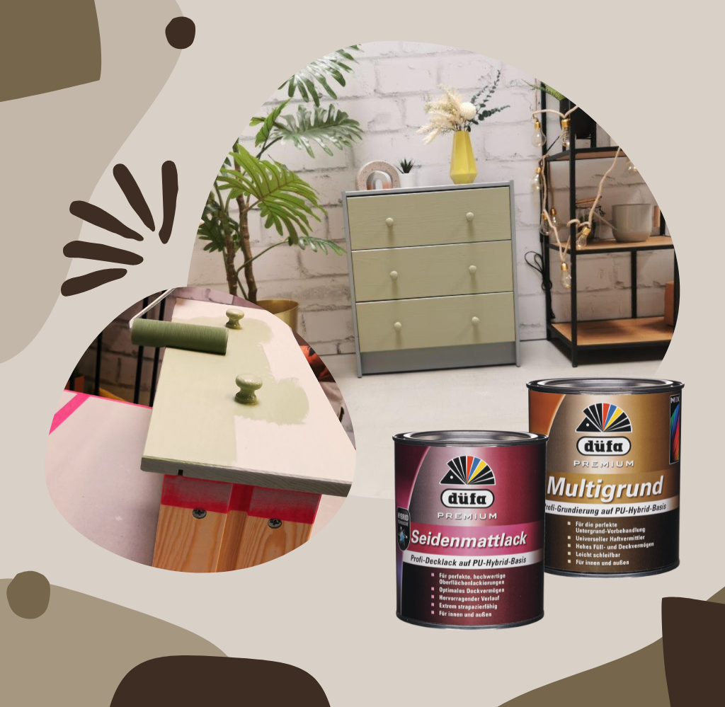 kiste transparent A4 Box mit Deckel günstig online kaufen bei BACKWINKEL Wild Olive
