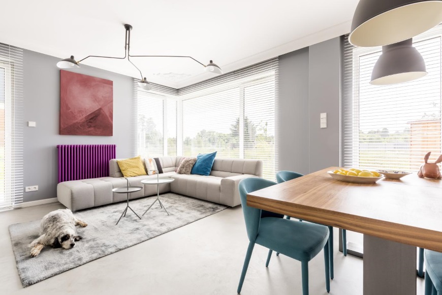 Modernes Wohn- und Esszimmer mit einem auffälligen, violetten Heizkörper